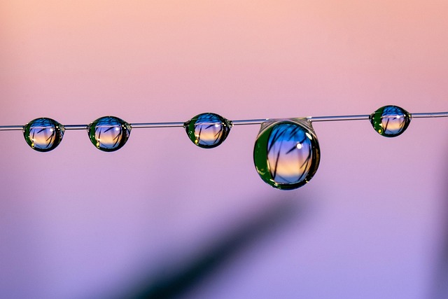 커피머신 청소, 봄맞이 5분 완성! 꿀팁 대방출 관련 이미지 4