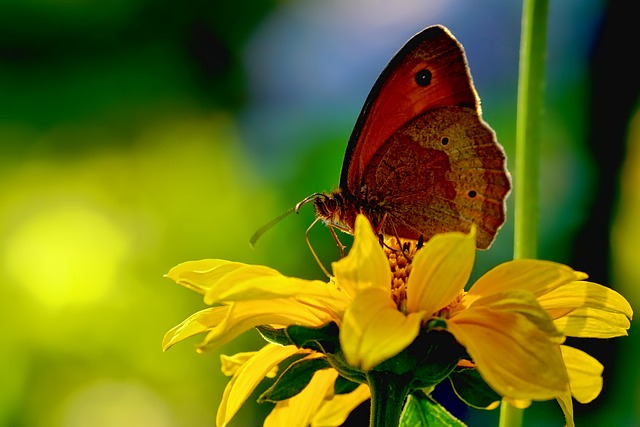 공기청정기 똑똑하게 비교: CADR부터 필터, 소음까지 관련 이미지 2