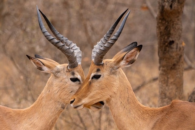 랜섬웨어 🛡️ 자동 백업 설정 & 2FA로 완벽 방어! [보안 꿀팁 관련 이미지 3