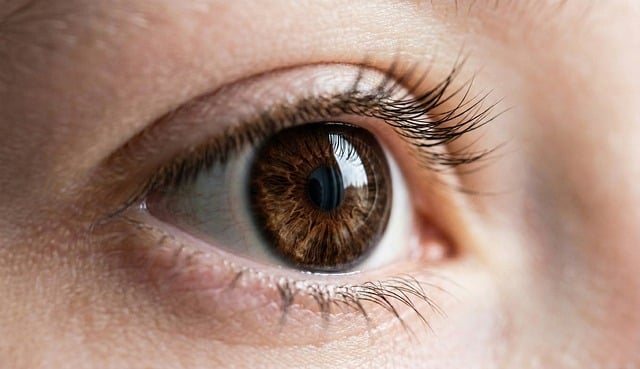 피부타입별 인생선크림 찾기! 꿀조합 & 덧바르는 법 봄 관련 이미지 2