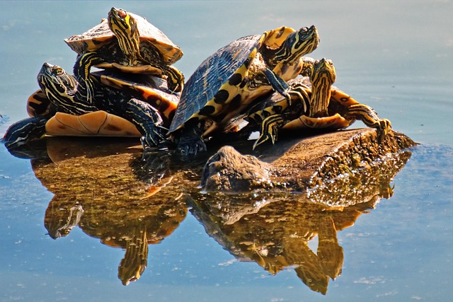 🏃🏻 동적 스트레칭, 운동 효과 UP! 부상 방지 웜업 루틴 관련 이미지 2