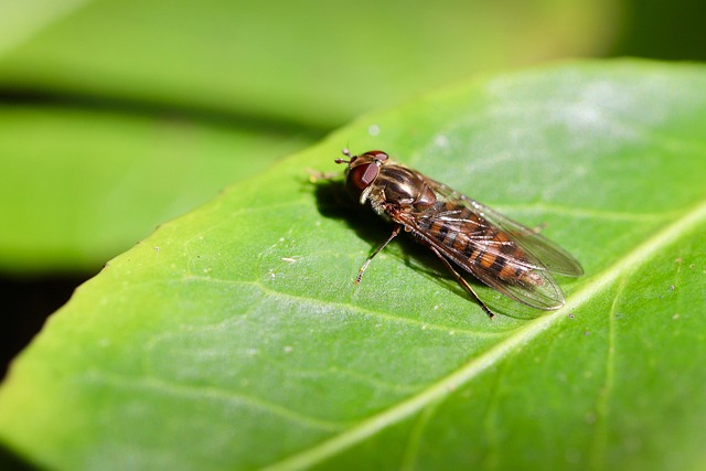 딸기코 STOP! 3월, 블랙헤드 싹-없애는 꿀팁 대방출 관련 이미지 1