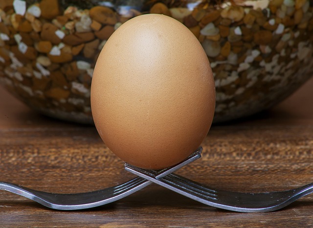 ✨홈베이킹 입문! 미니 오븐으로 빵굽는 꿀팁 레시피 대공개 관련 이미지 3