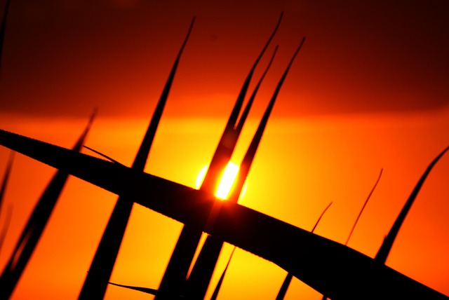 잇몸 염증 원인: 잇몸 마사지, 칫솔, 치약 선택법 관련 이미지 1