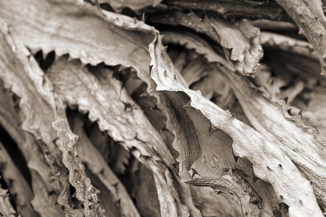 후끈한 온도 낮추는 쿨링케어: 열노화 진정 SOS [온도, 쿨링, 진정, 열노화, 응급케어 관련 이미지 2