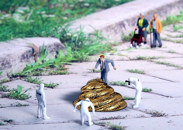 강아지 💩 식분증 원인과 해결책, 사료🥣 부터 훈련법🐾 까지 관련 이미지 1