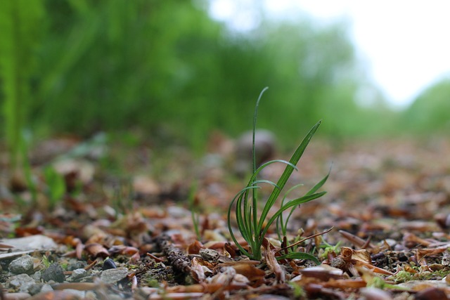 교정 교정 부상