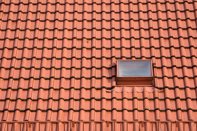 아기매트 종류별 안전