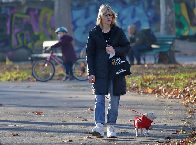 댕냥이와 행복한 견생