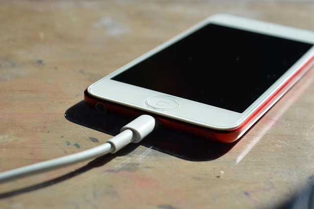 차량용충전기 추천