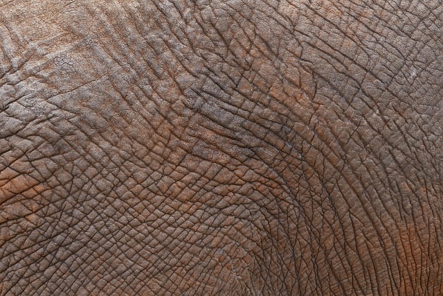 히알루론산 피부 수분을