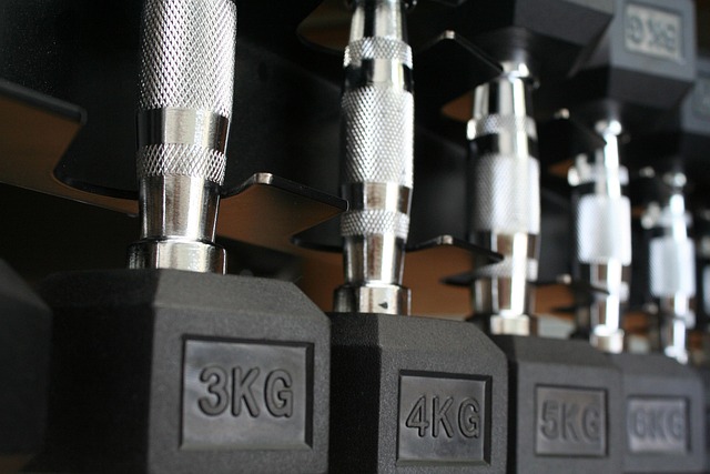 헬스 분할운동 초보자를 비교 분석표