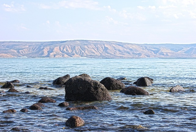 이사 절약 노하우 단계별 절차