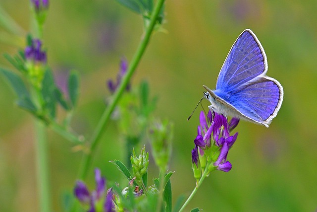 운동 전후 필수 핵심 요점 정리