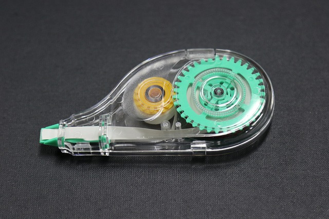 강아지 산책 습관 단계별 절차