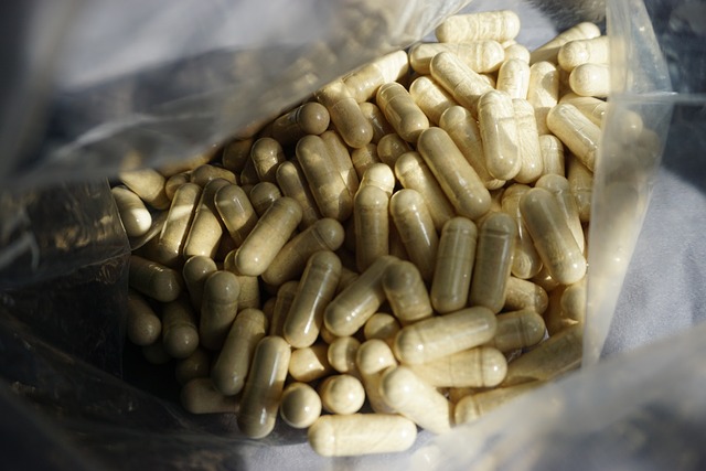 강아지 관절 영양제 단계별 절차