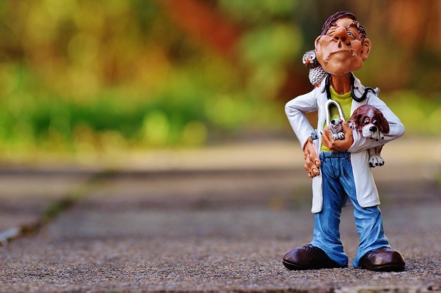 강아지 구토 병원 비교 분석표